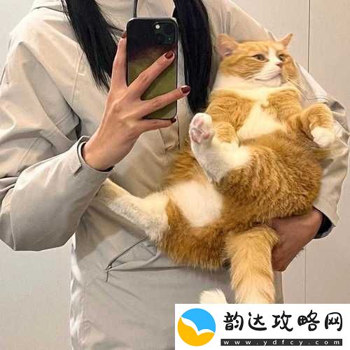 觊觎-1v2-猫丸:令人心跳加速的精彩对决即将上演
