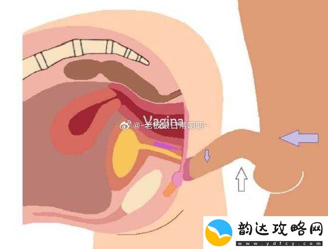 国产高中生后入视频:探索性教育的正确方式