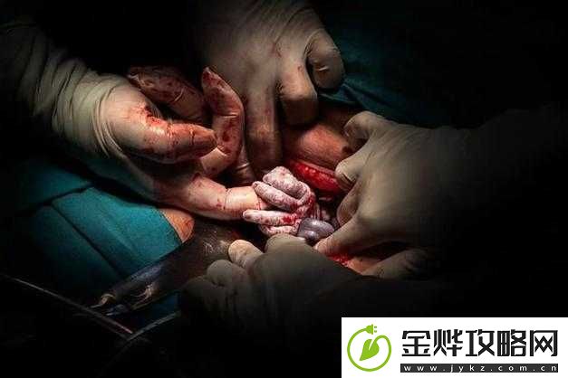 PRONXXXXHD分娩:全新分娩体验与奥秘探究