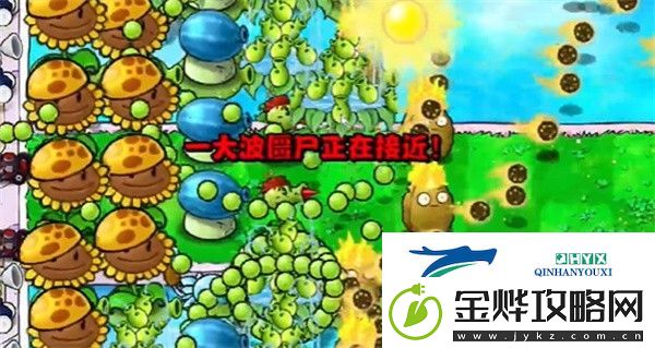 植物大战僵尸杂交版冒险模式第15关怎么打