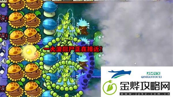 植物大战僵尸杂交版冒险模式第18关怎么过关