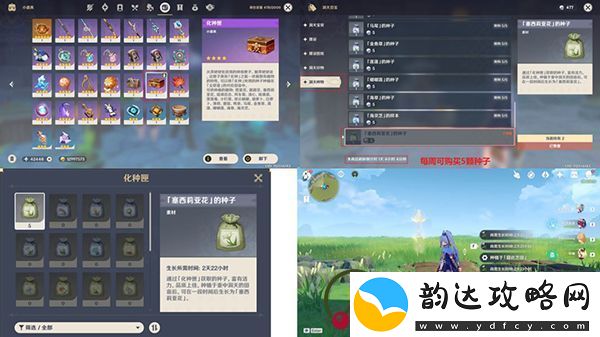 原神塞西莉亚花采集地点