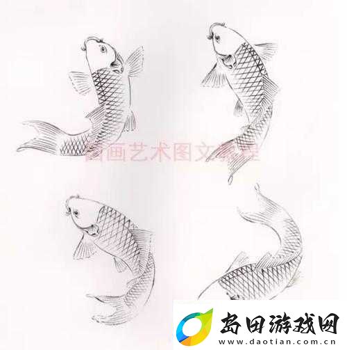 鲤鱼吸水怎么练的图片视频:详细教程与技巧