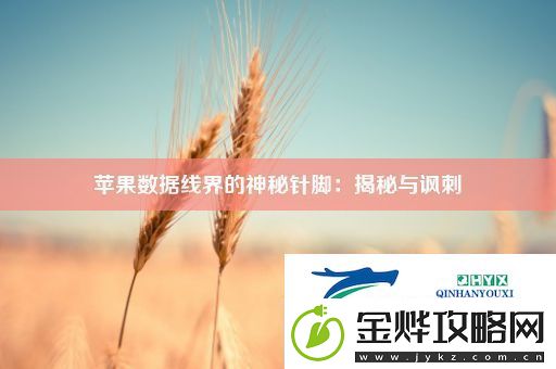 苹果数据线界的神秘针脚:揭秘与讽刺
