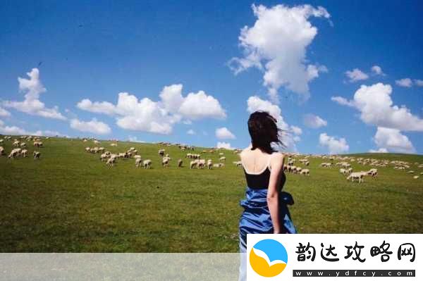 天堂草原电视剧在线观看图片高清-1.-天堂草原:追寻梦想的旅程