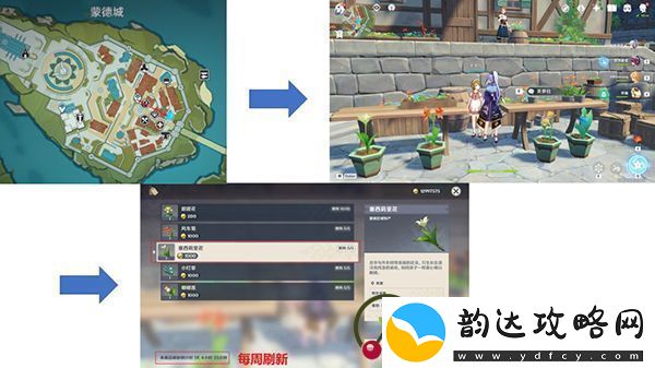 原神塞西莉亚花采集地点