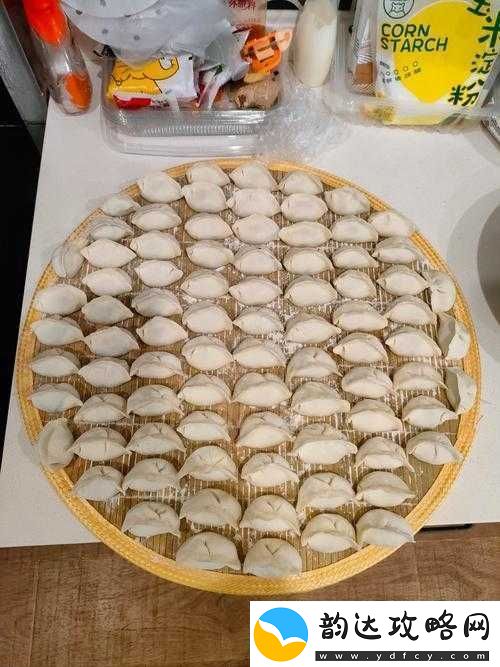 把你的香肠放在我的饺子里然后我们一起吃饺子吧