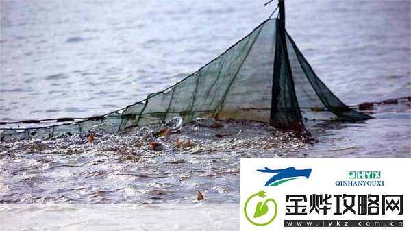 捕鲲达人红包版来袭
