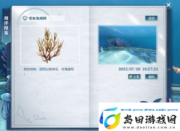 逆水寒雪松角海树在哪