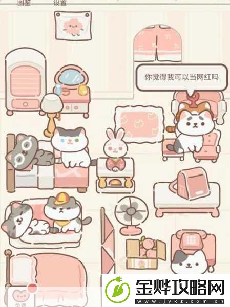 治愈心灵的养猫之旅