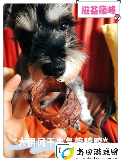 美国人与动物胶配方有几种-网友直言:这一行业的秘密揭晓了!