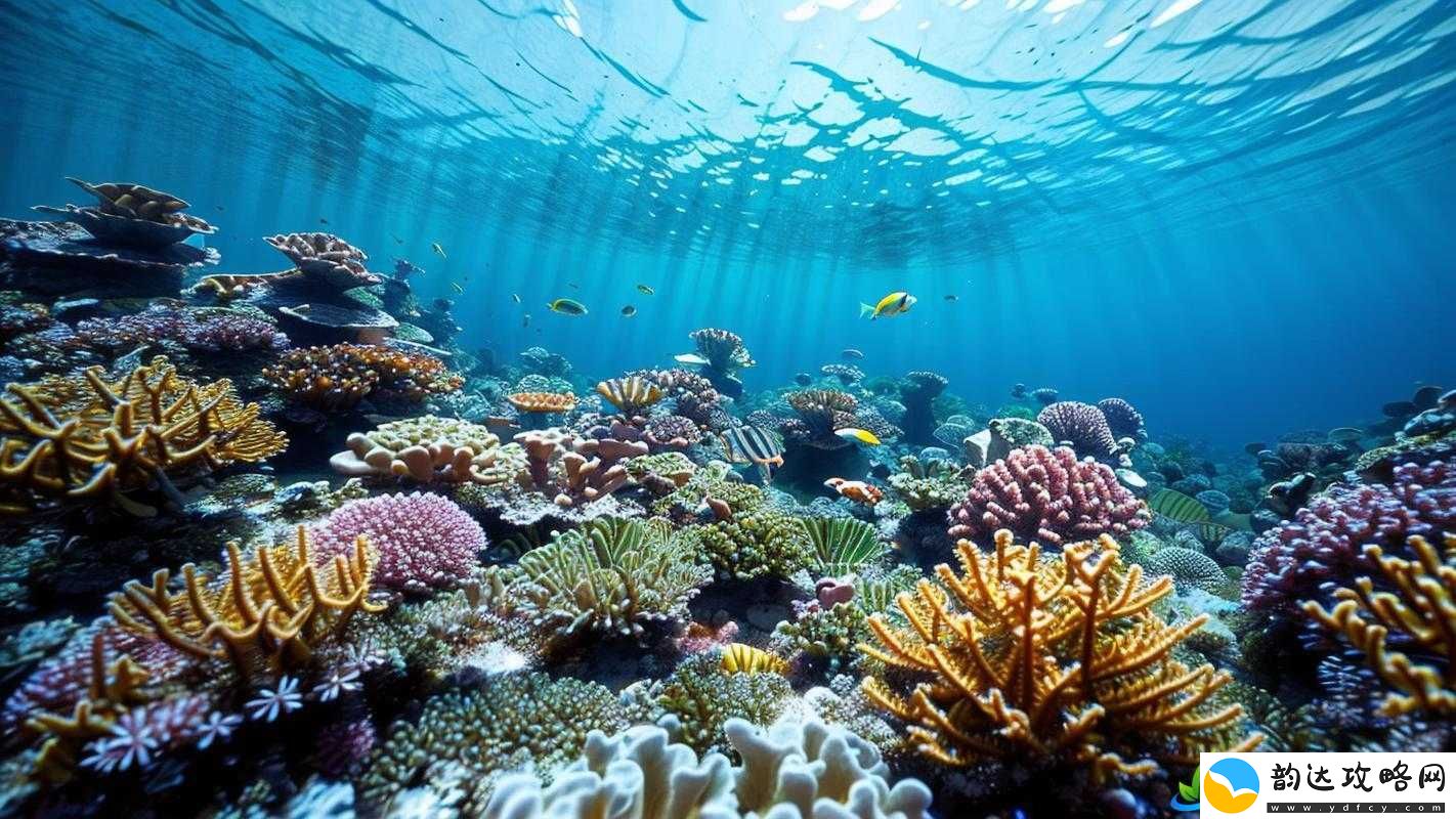 ATLANTICOCEAN-巨大:探索那广袤无垠的海洋世界