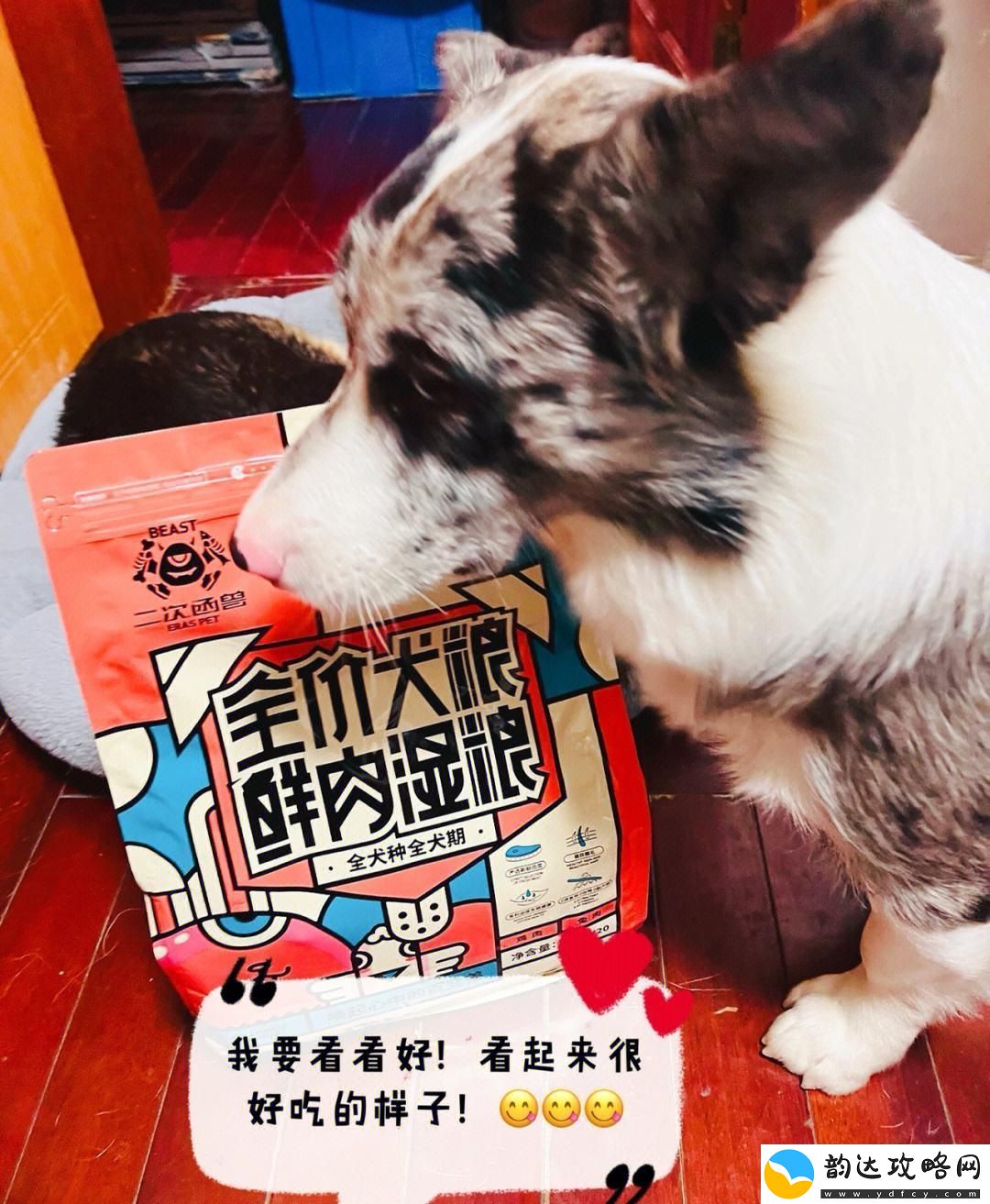 ZOOMSERVO兽狗:狂拽酷炫“黑科技”-网友热议的“潮宠”新焦点!
