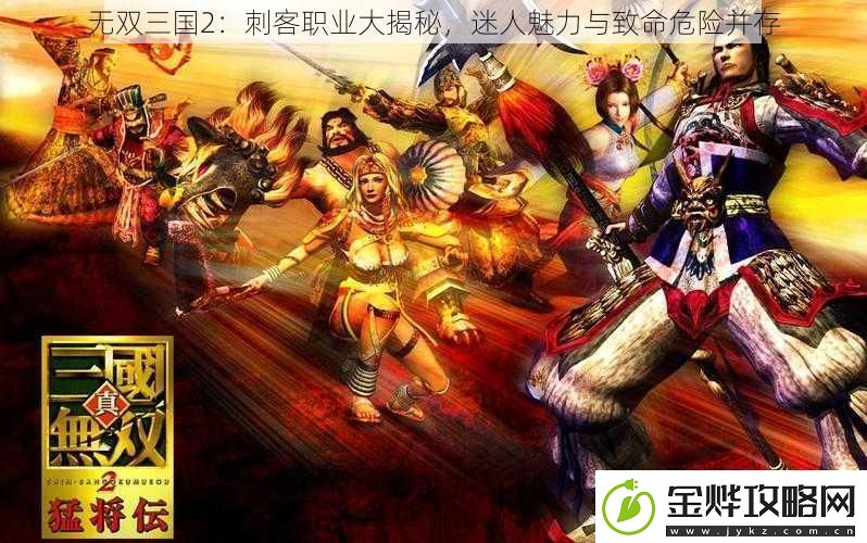 无双三国2:刺客职业大揭秘迷人魅力与致命危险并存