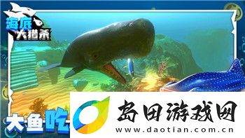 盐和避难所-最强防具的样式与实战应用-如何选择最适合你的装备