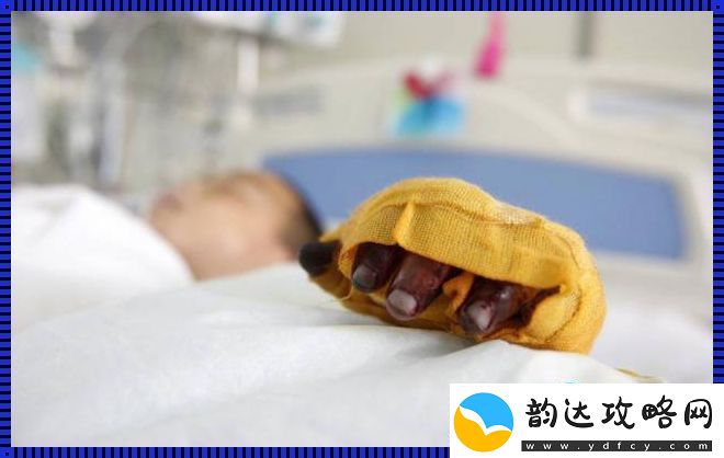 丰年经的继拇:荒诞解构科技新趋势