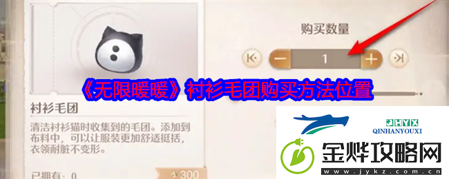 无限暖暖衬衫毛团购买方法位置