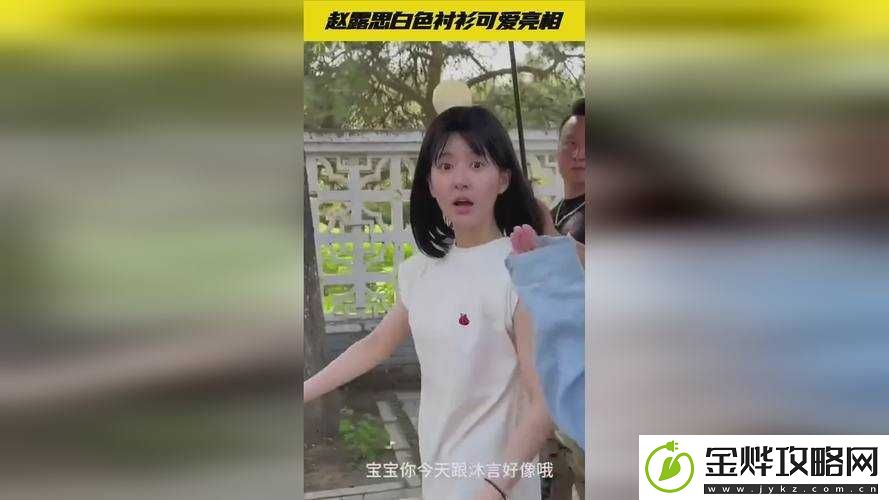 暑假作业张婉莹系列盘:学习与娱乐的完美结合