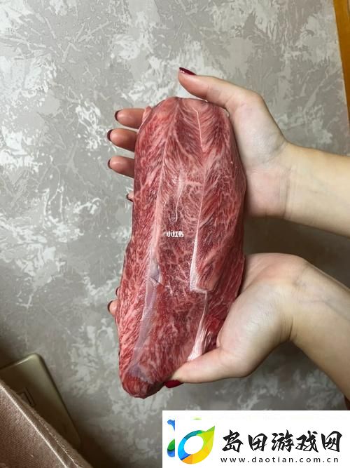 大肉大捧一进一出视频-探索美食背后的故事