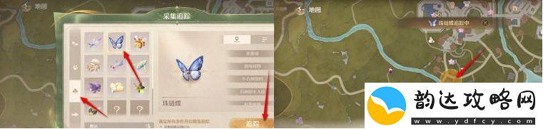 如何有效捕捉无限暖暖中的珠链蝶