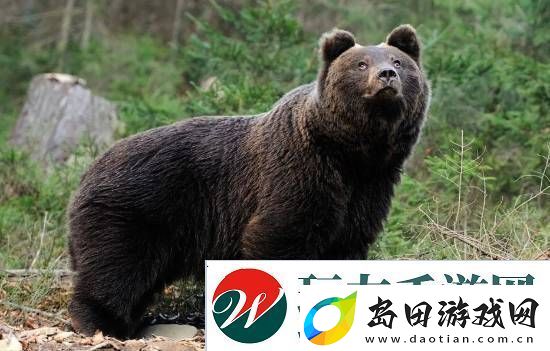 每日私密马赛