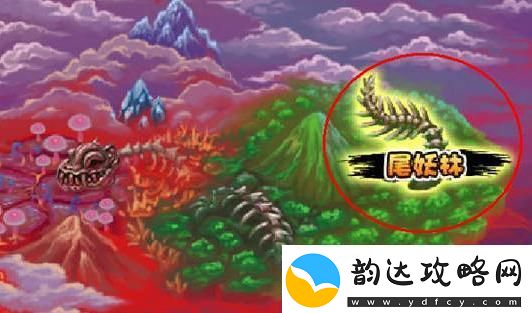 尾妖林寻踪-笑谈科技江湖中的惊喜连连