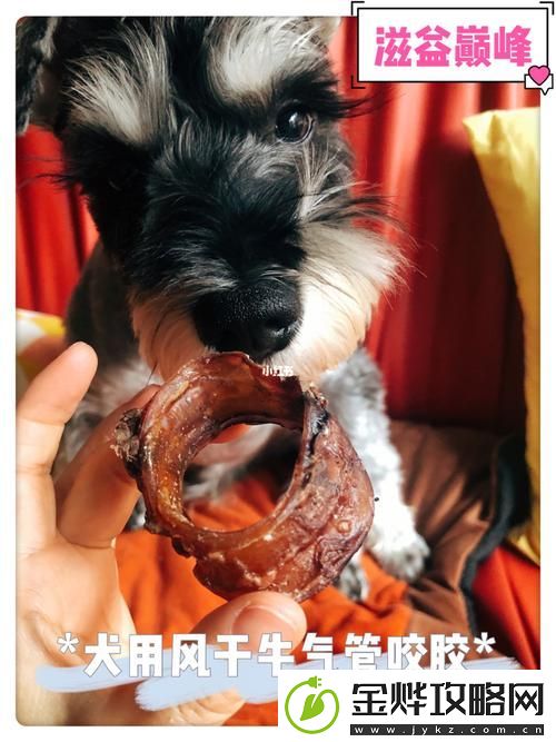美国人与动物胶配方大全图片-网友:探索传统与现代的结合