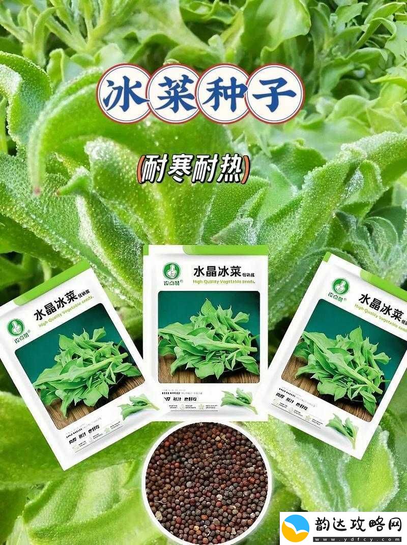 芭乐丝瓜黄瓜绿榴莲最新版:探索新奇果蔬的奇妙之旅