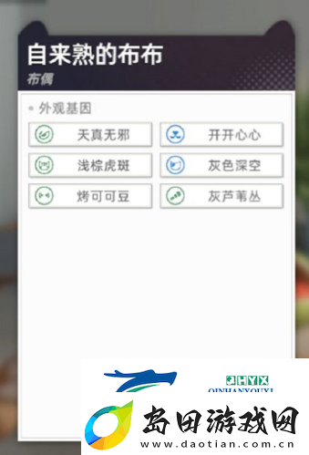 猫之城怎么配猫:猫咪育成攻略