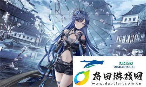 九幺黄9·1安装详解:深度解析安装步骤与注意事项