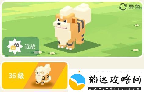 宝可梦大探险卡蒂狗攻略