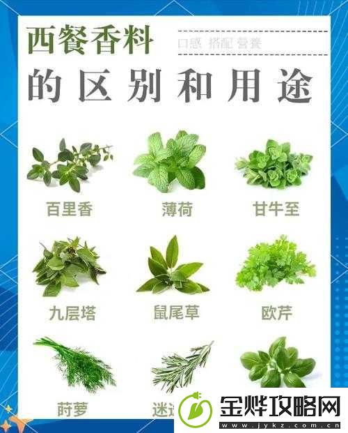盛世芳华香道深度求索-探寻香料独特奥秘与无穷乐趣之旅
