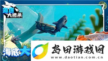战国无双4-任务的全新挑战与策略-如何在多变战场中轻松取胜