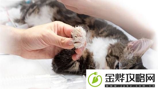你怎么看