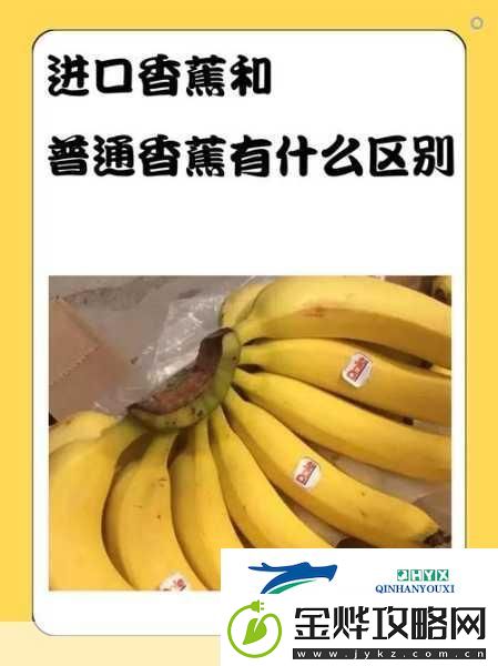国产香蕉和进口香蕉的价格比较