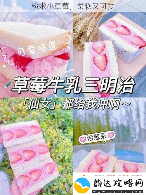 粉嫩小草莓-柔软又可爱