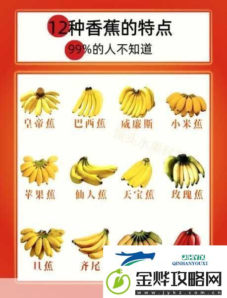 国产香蕉和进口香蕉的价格比较:国产香蕉与进口香蕉价格对比分析及市场影响探讨