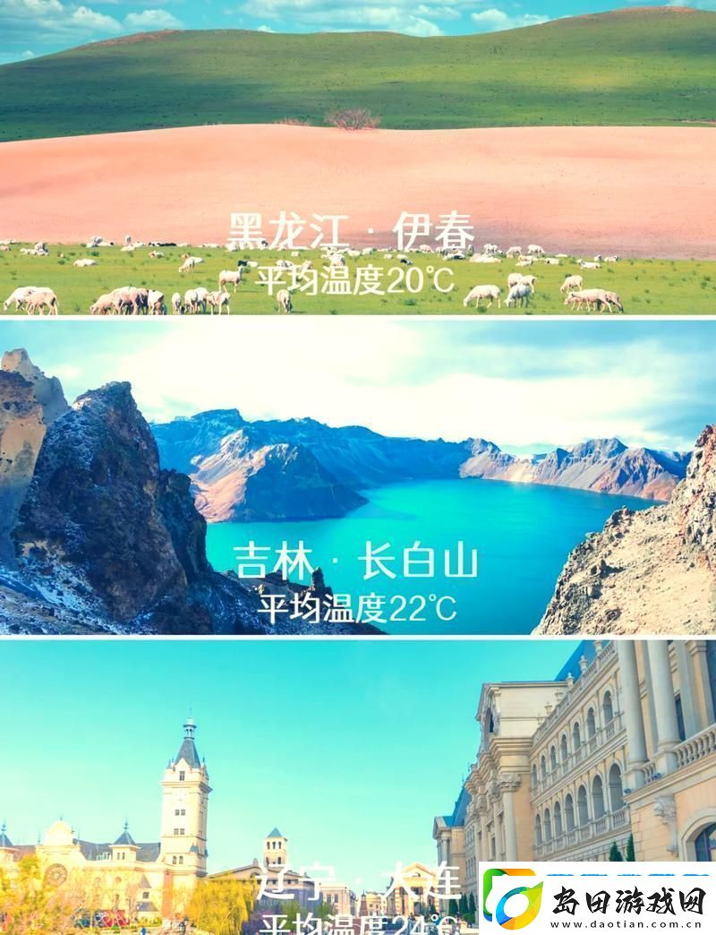 畅游“伊春园2023入口”:探寻自然之美与人文底蕴