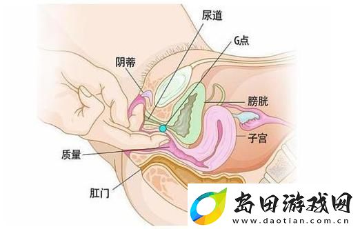 大荫蒂BBBBBB大荫蒂-探索生命的奥秘与和谐