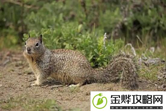 你敢信吗