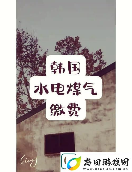 好看的韩国三色电费-用户评论:-美丽与实用的完美结合