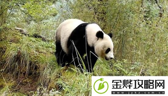 你敢信吗