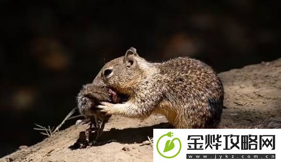 你敢信吗