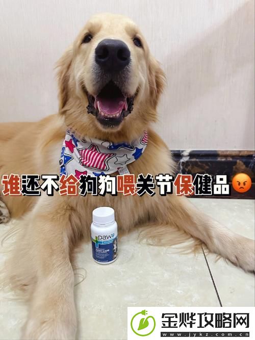 人狗胶配方大全高清4-网友:这真是太实用了!