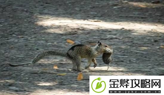 你敢信吗