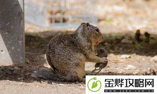 你敢信吗