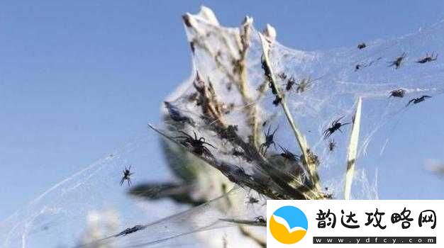 XXXXXL1962222-解释毛样:中国络文化的一个独特现象