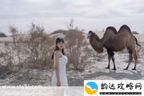 越南女rapperdiss大战的优势:1."越南女Rapper对决:实力与风格的巅峰碰撞