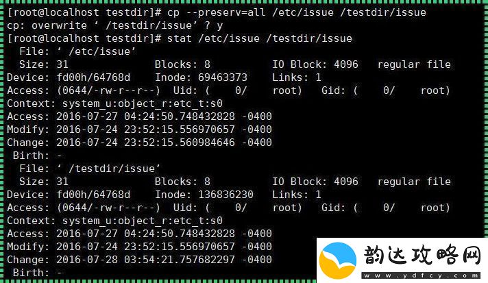 “备份-嗯-说的就是我用cp命令的那点破事儿”