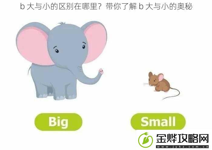b-大与小的区别在哪里-带你了解-b-大与小的奥秘